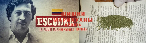 бошки Белокуриха