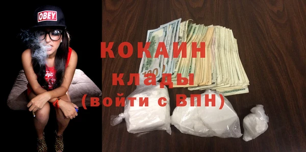 бошки Белокуриха