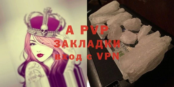 бошки Белокуриха