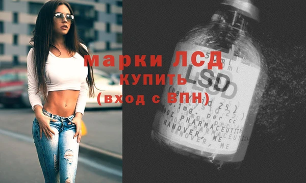бошки Белокуриха