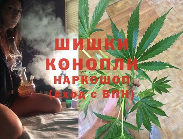 бошки Белокуриха