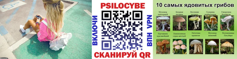 купить наркотик  Полесск  Псилоцибиновые грибы ЛСД 